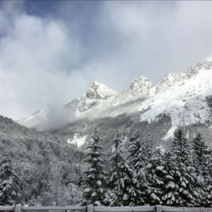 Land in Tyrol Land in Tyrol