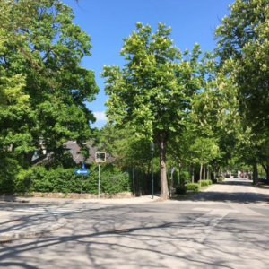 Land in lower Austria Land in lower Austria